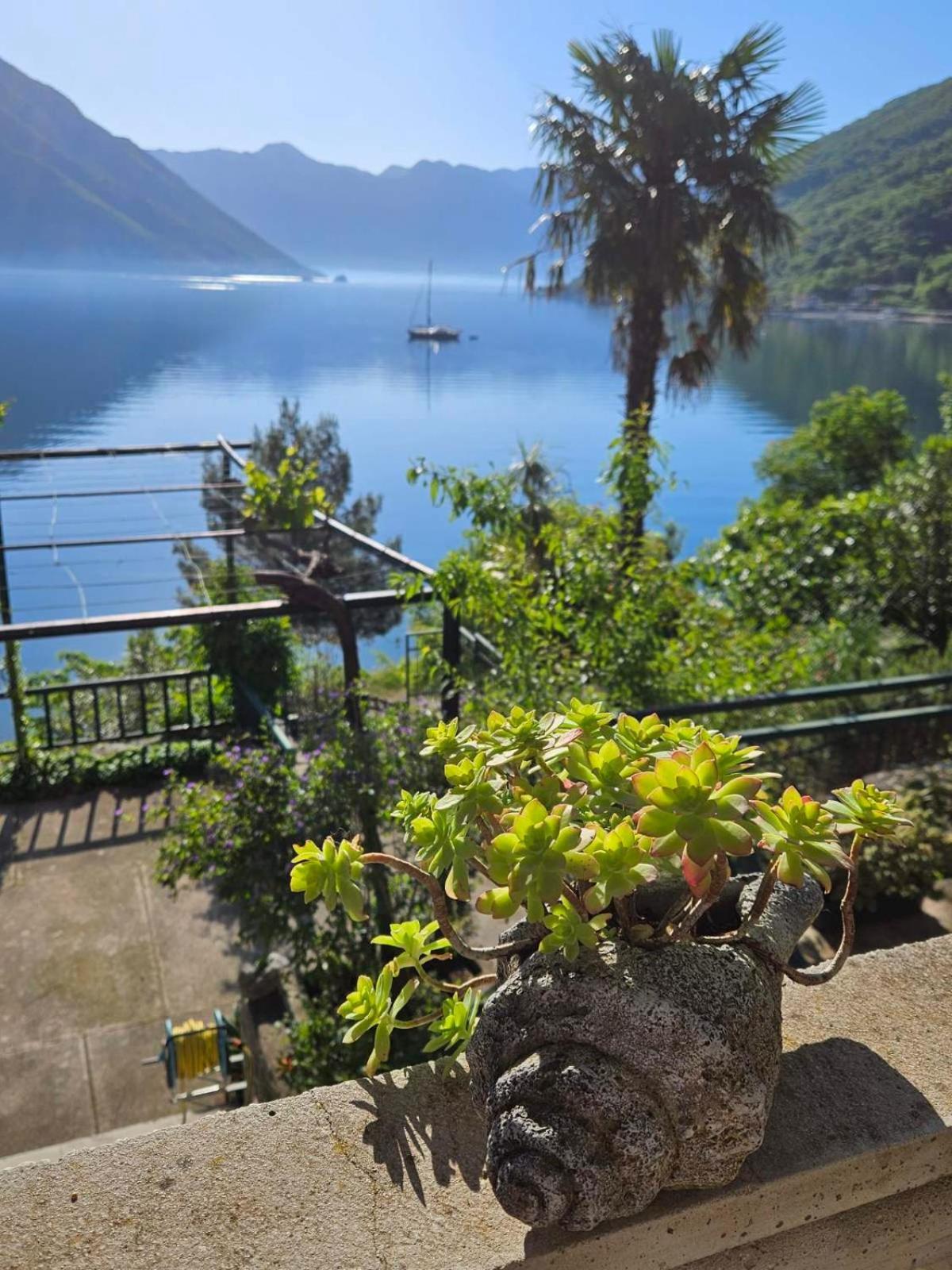 Apartment Capt Seferovic 2 Donji Morinj Εξωτερικό φωτογραφία